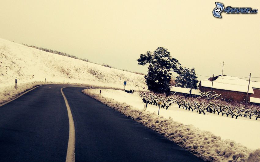 cesta, domčeky, sneh