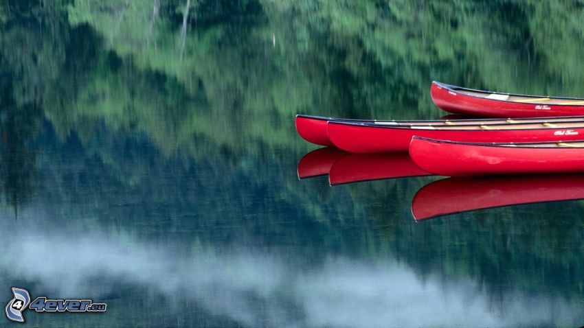 kanoe, rieka, odraz