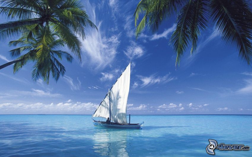 loďka na mori, šíre more, palmy