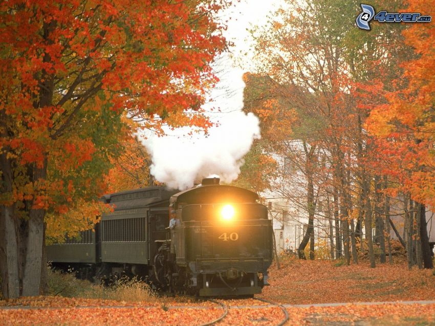 parný vlak, jeseň