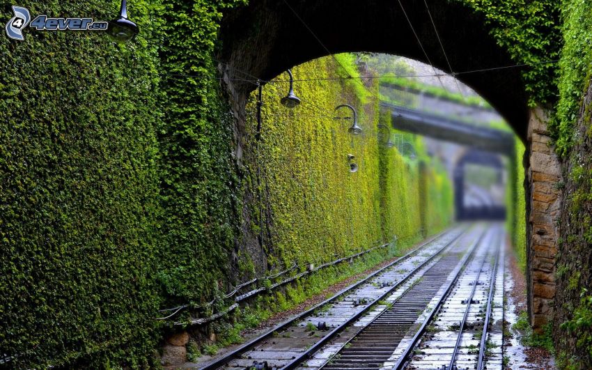 železnica, stena, zelené listy
