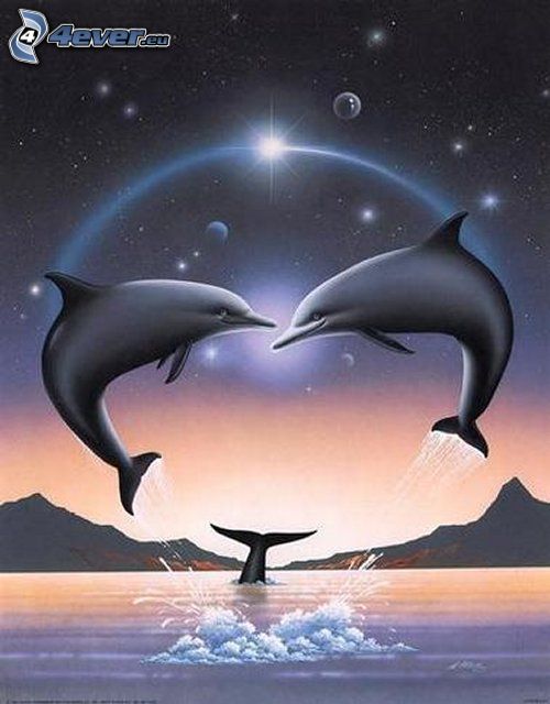 delfíny