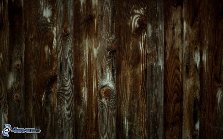 drevená stena