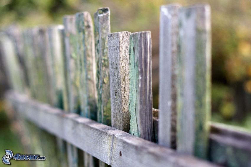 drevený plot