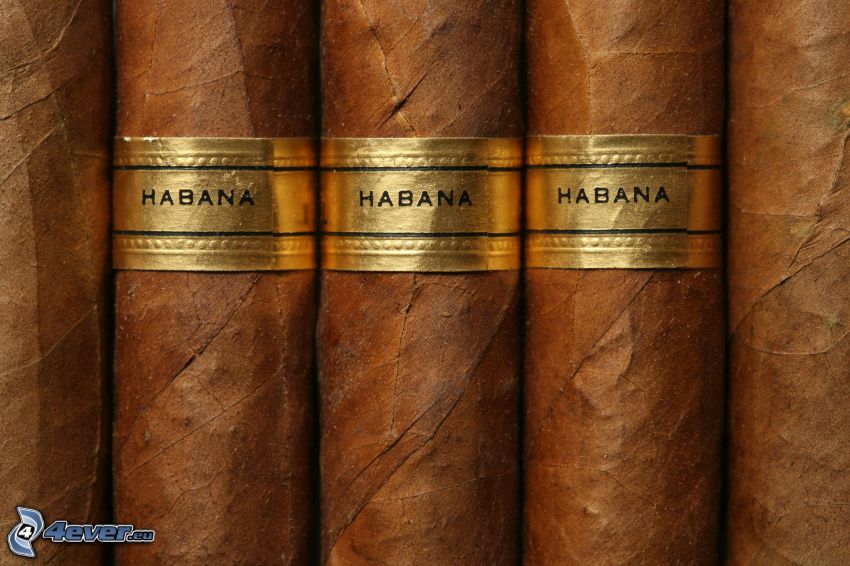 Habana, cigary