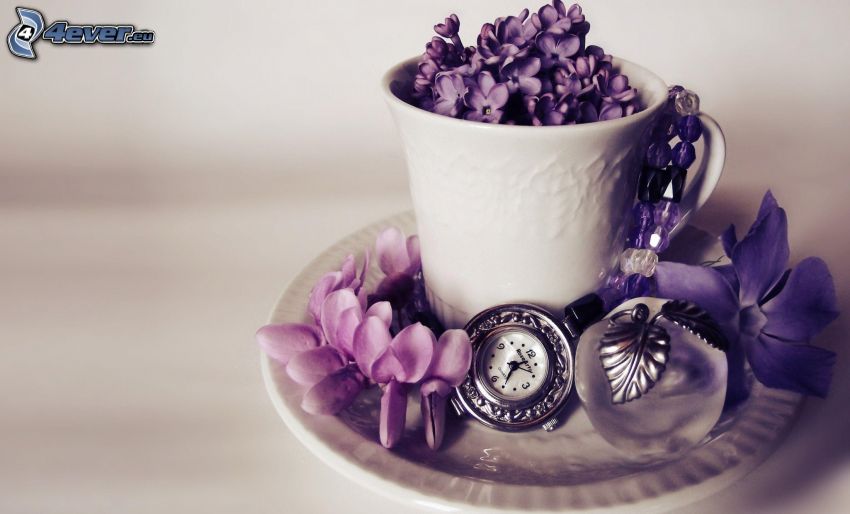 hrnček, orgován, historické hodinky, fialové kvety