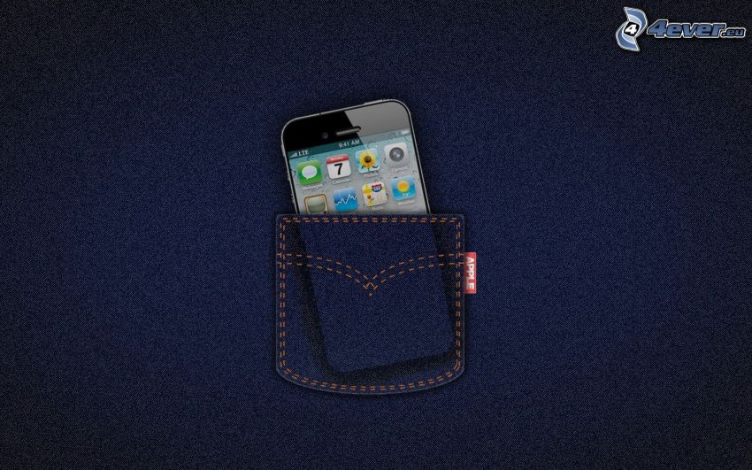 iPhone, vrecko