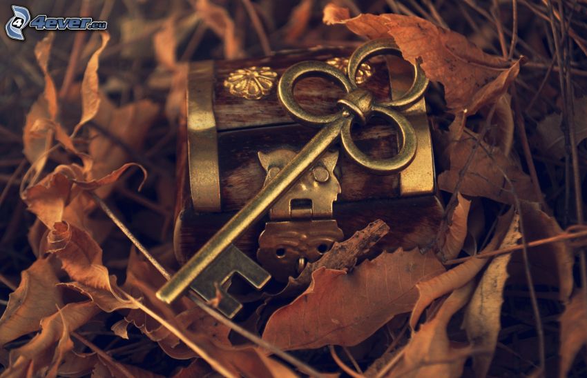 kľúč, pokladnička, suché listy