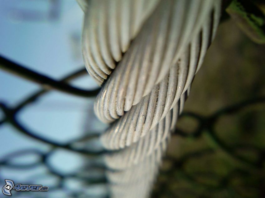 lano, drôtený plot