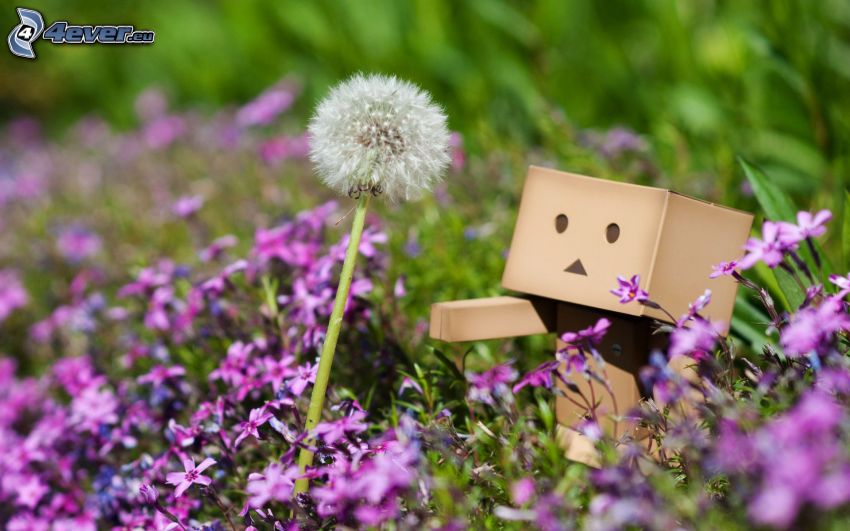 papierový robot, odkvitnutá púpava, fialové kvety