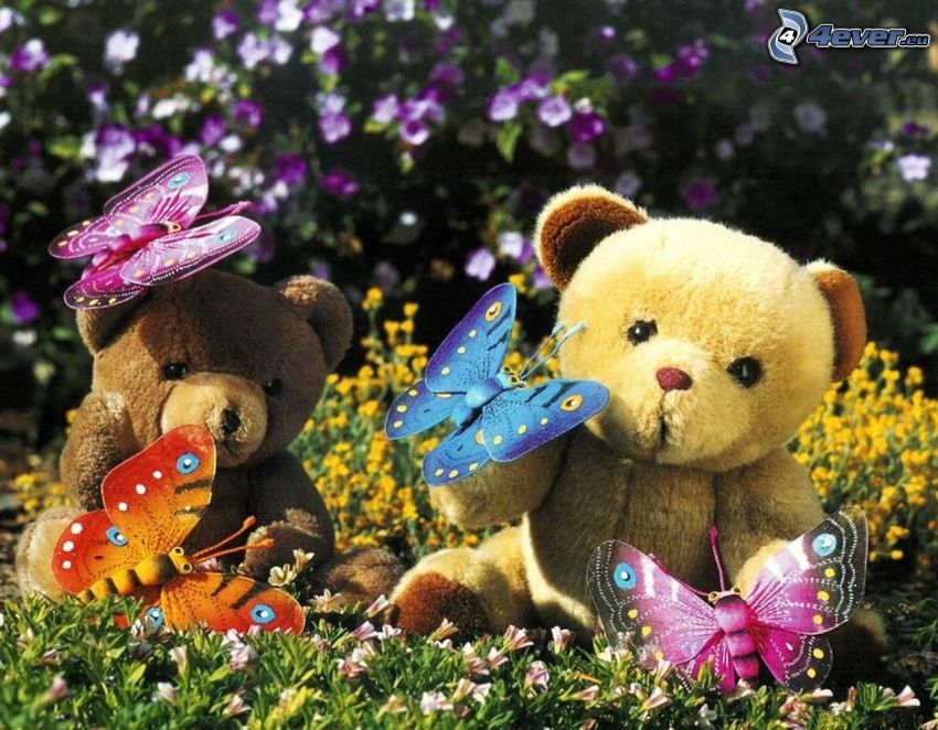plyšové medvede, motýle, tráva, kvety