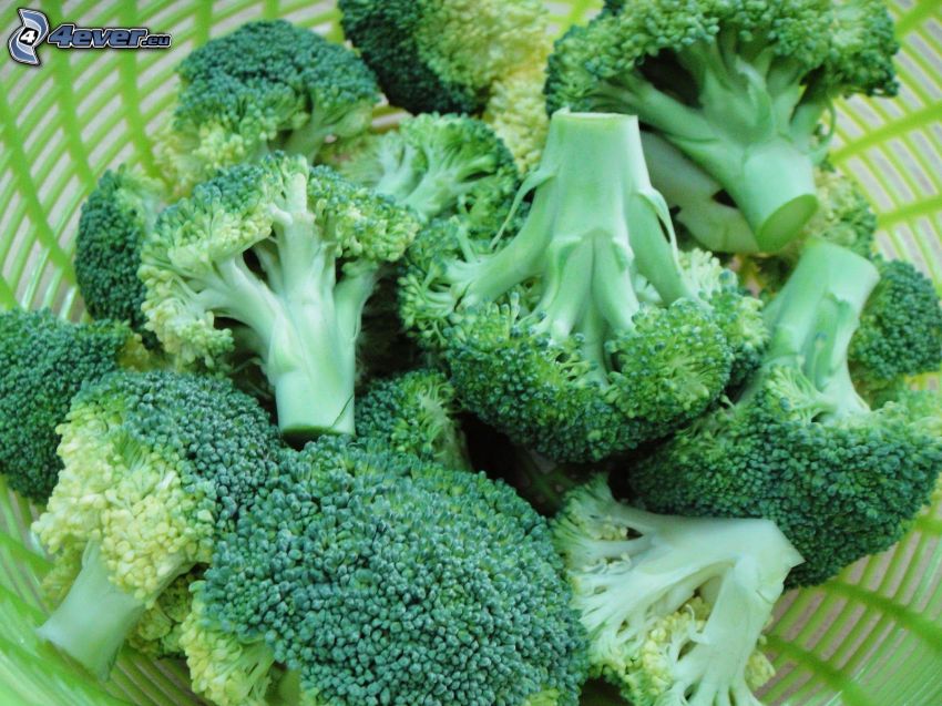 brokolica