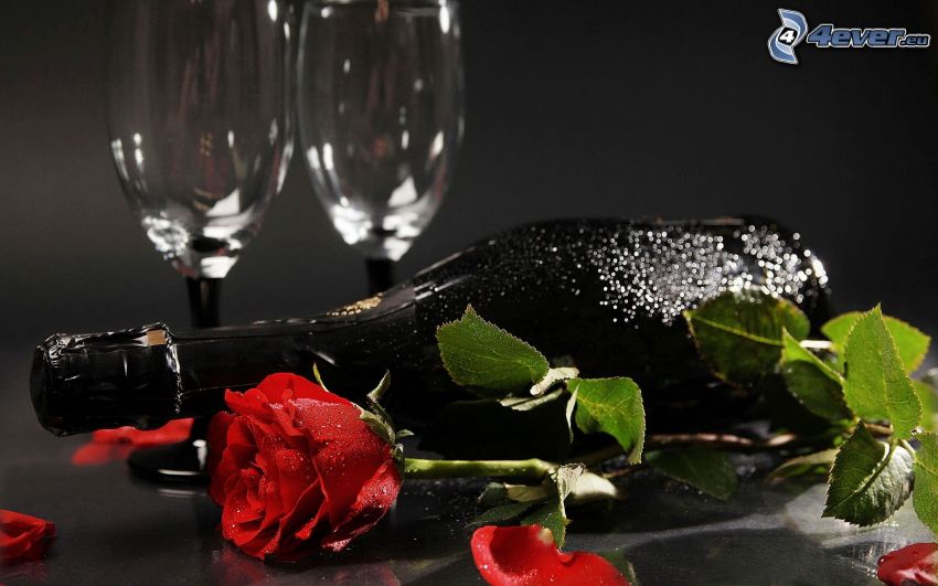 červená ruža, fľaša, poháre