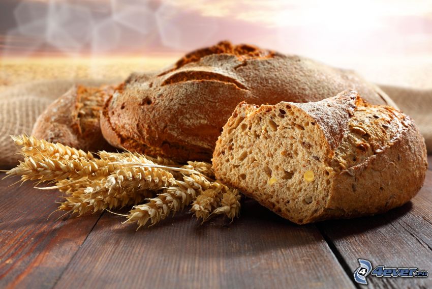chlieb, pšenica