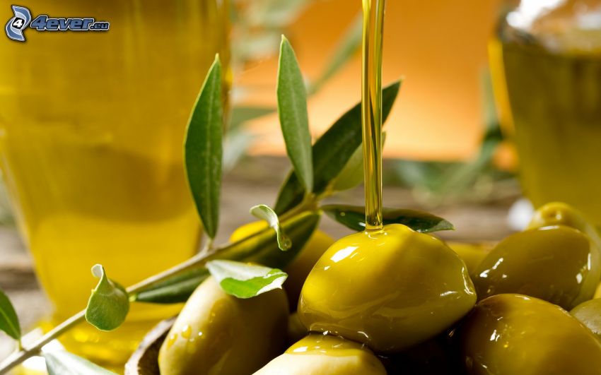olivový olej, olivy, konárik