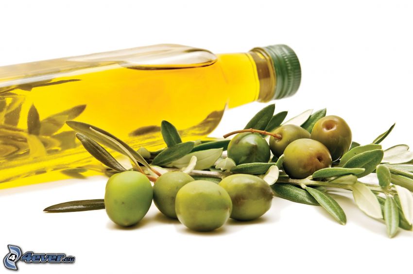 olivový olej, olivy