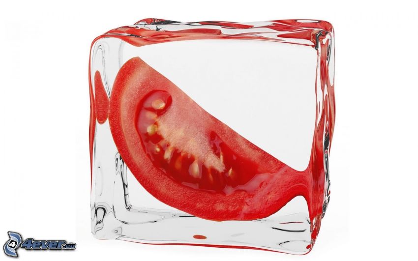 paradajka, kocka ľadu