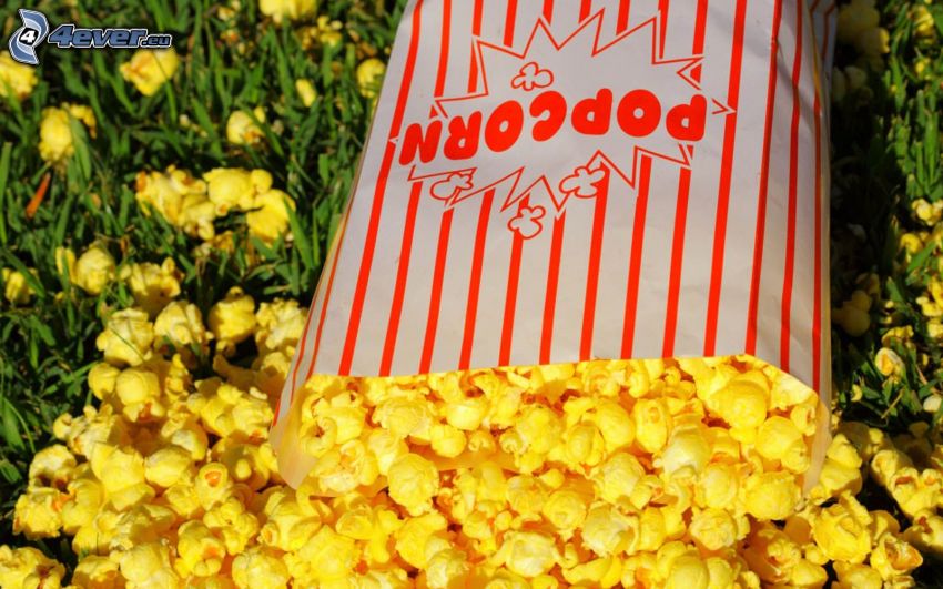 popcorn, pukance