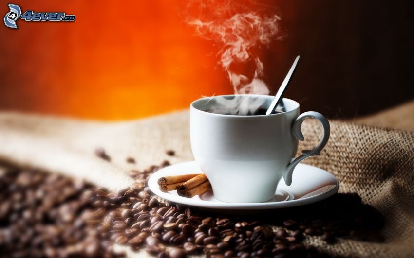 šálka kávy, para, škorica, kávové zrná