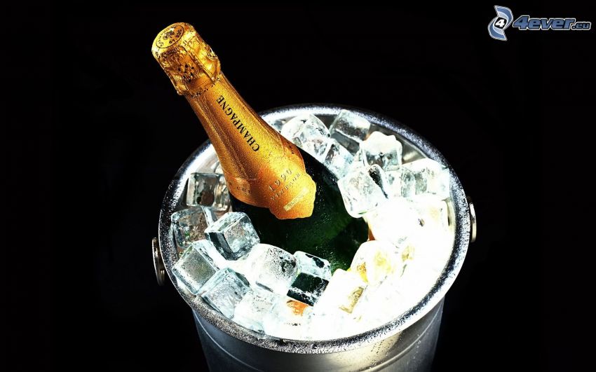 šampanské, ľad, vedro