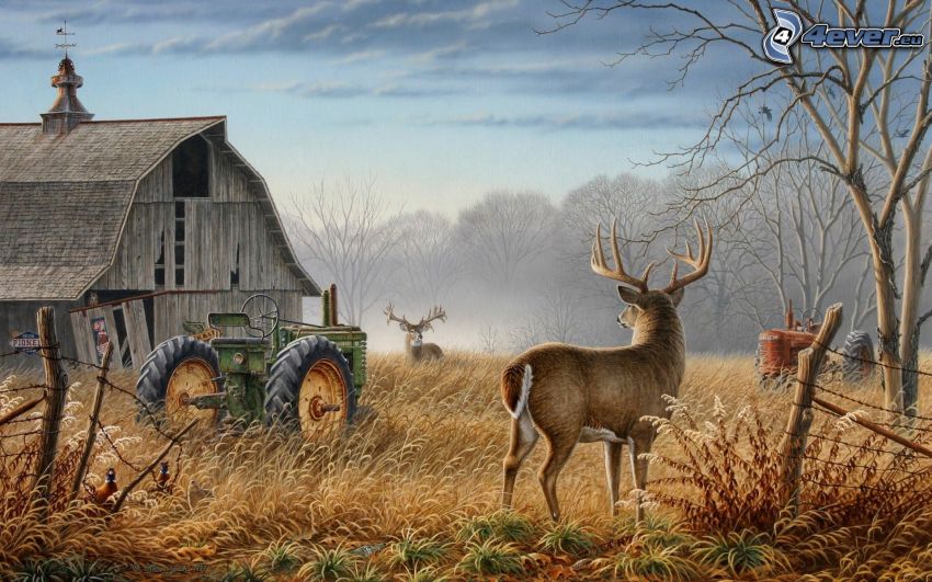 americká farma, opustený dom, jelene, traktor, stromy