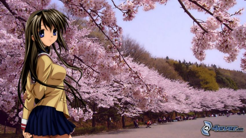 anime dievča, kvitnúce stromy