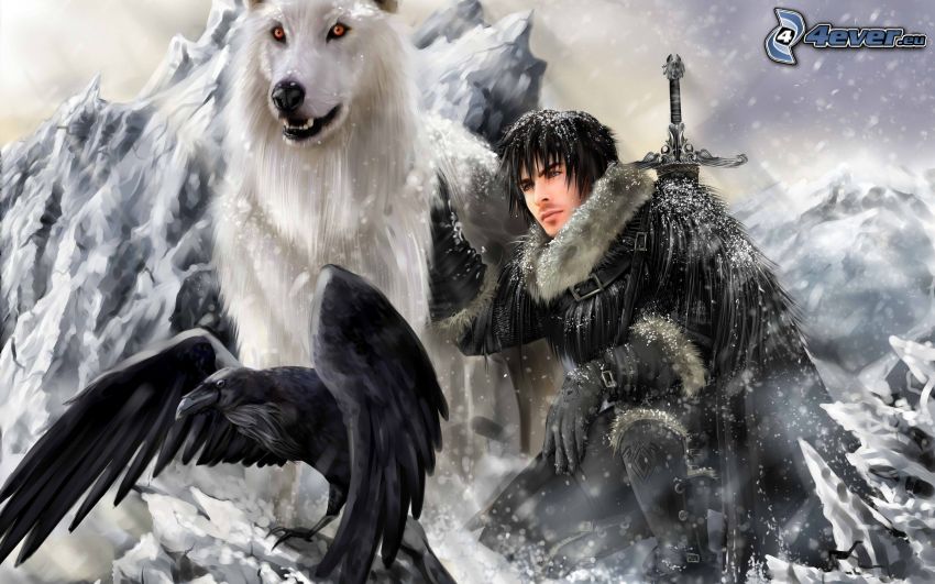 bojovník, vrana, sneh, pes
