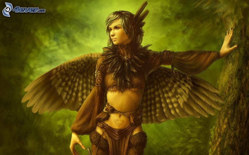 fantasy žena, krídla