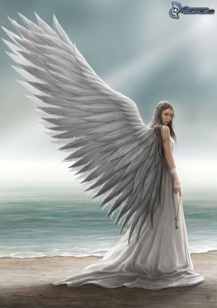 anjel, krídla, more