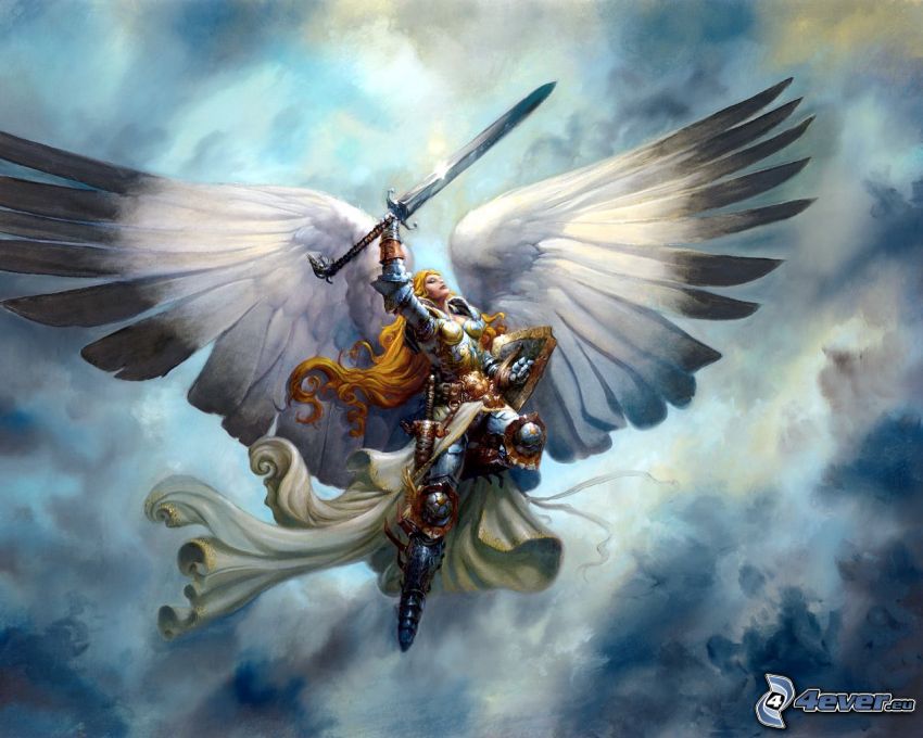 bojovníčka, krídla