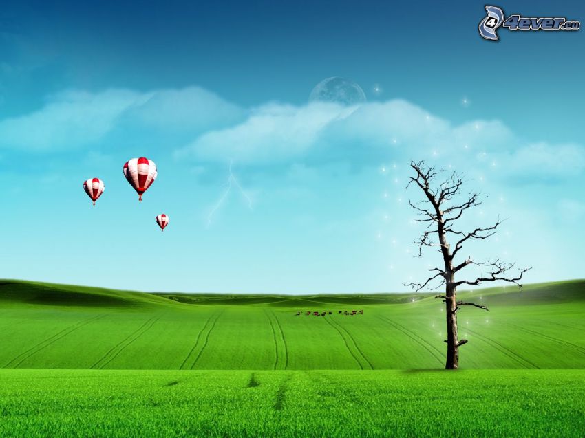balóny, zelená lúka, strom nad poľom, vyschnutý strom