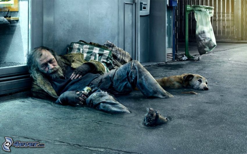 bezdomovec, pes, smetný kôš
