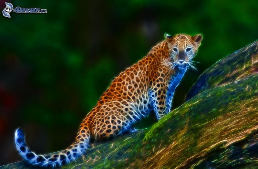 fraktálový gepard