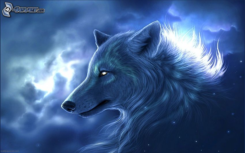 kreslený vlk, hlava vlka