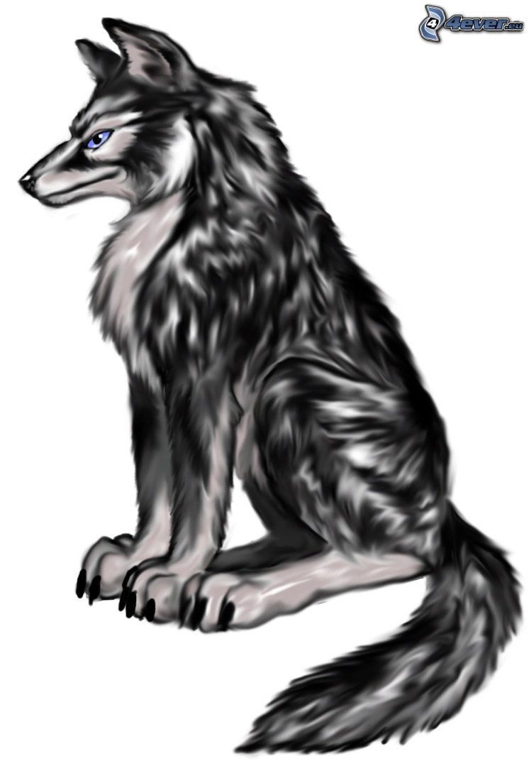 kreslený vlk