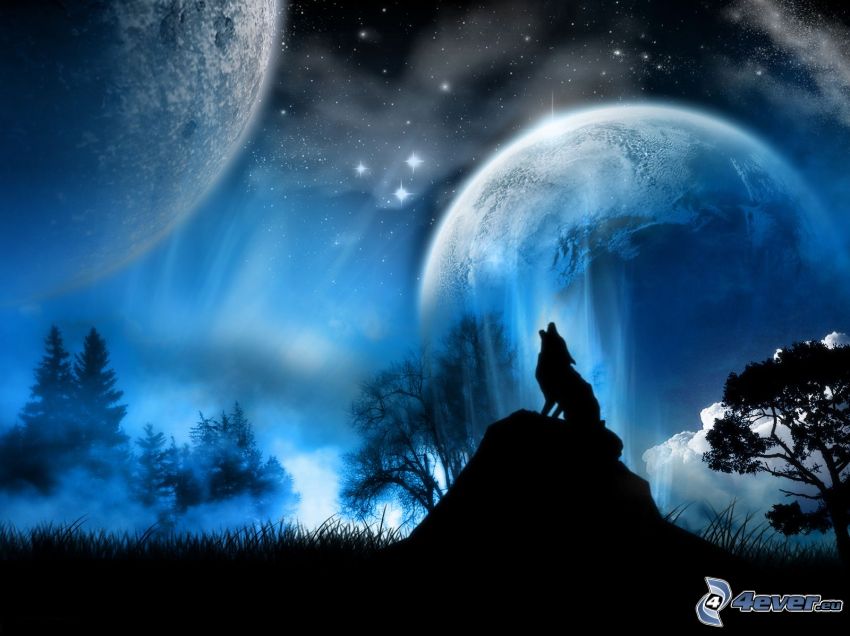 kreslený zavýjajúci vlk, dva mesiace, noc, les, príroda, hviezdna obloha