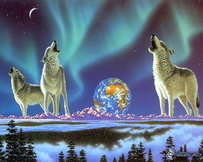 kreslený zavýjajúci vlk, vlky, polárna žiara, Zem, kreslené, umenie