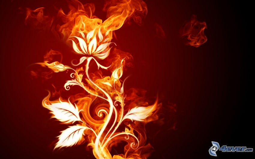 kvet, oheň