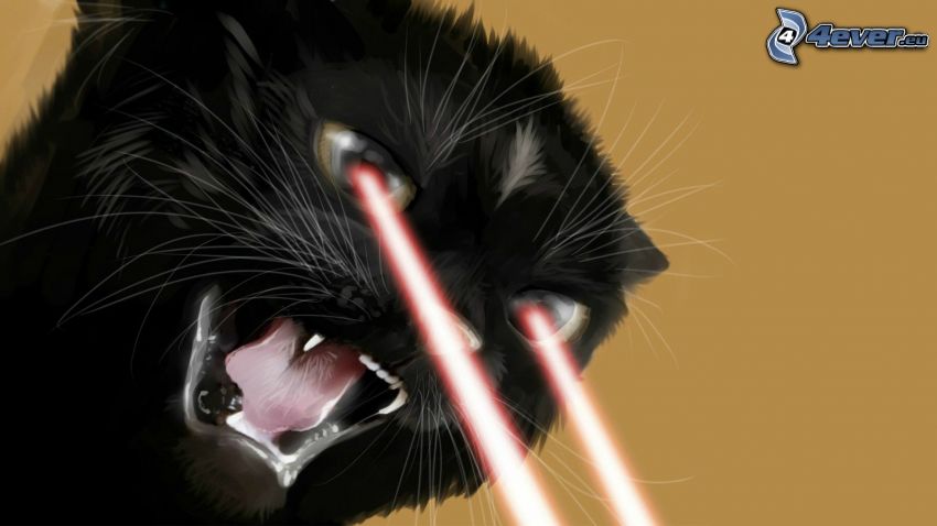 mačka, laserové lúče