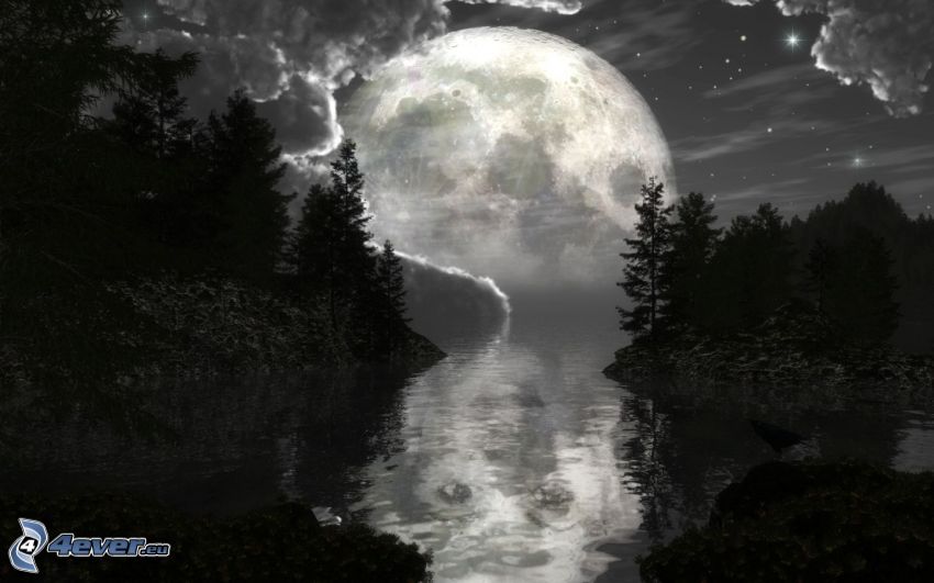 mesiac nad hladinou, krajina, rieka, les, siluety stromov