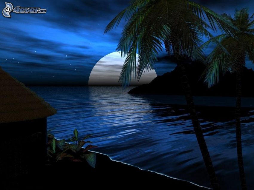 mesiac nad hladinou, pláž, palmy, chalúpka, noc