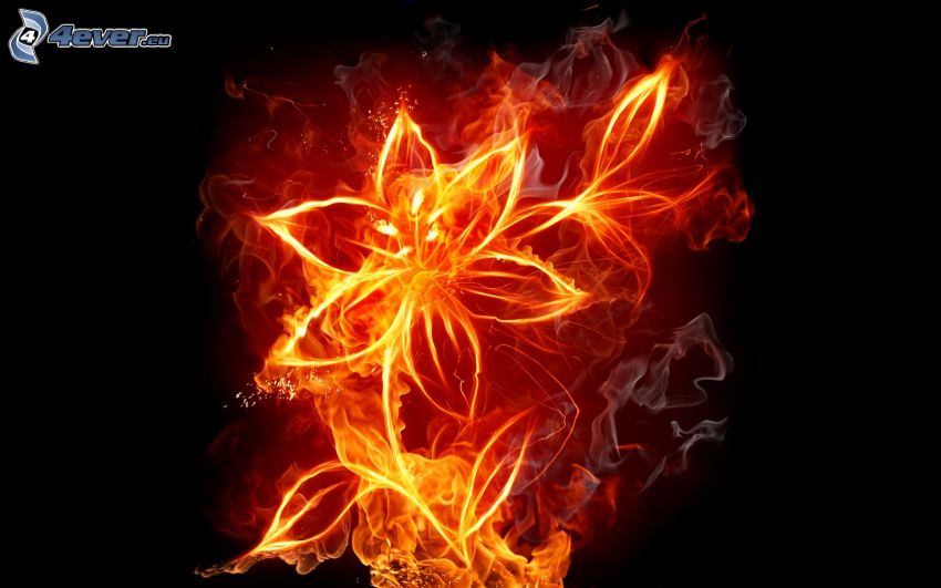 ohnivý kvet