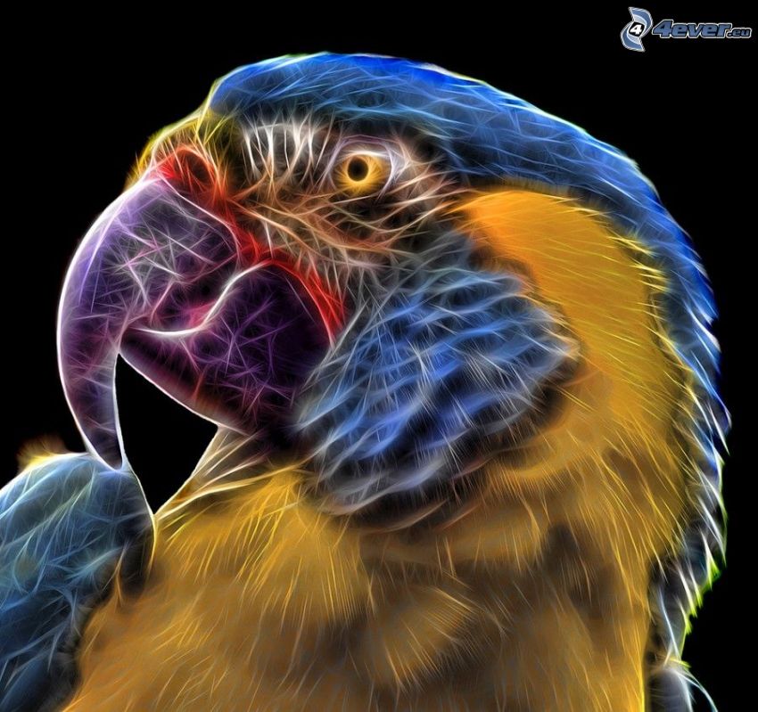 papagáj, fraktálový vták, fraktálové zvieratá