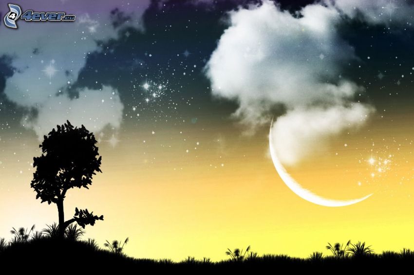 silueta stromu, oblaky, mesiac