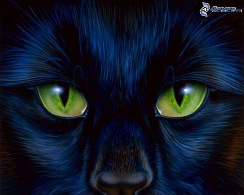 tvár čiernej mačky, zelené mačacie oči, kreslená mačka