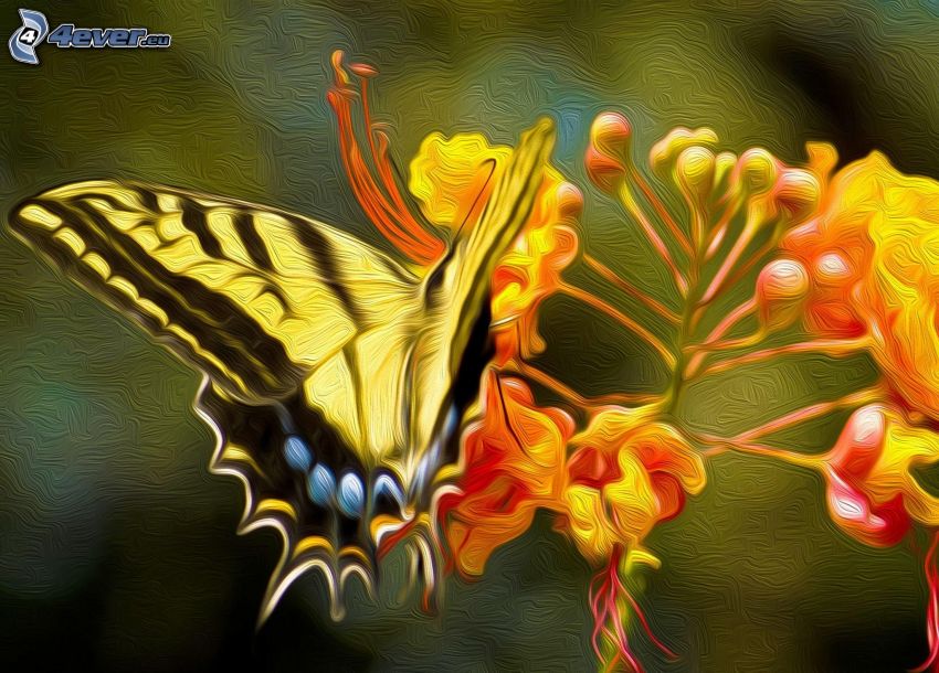 Vidlochvost, motýľ na kvete