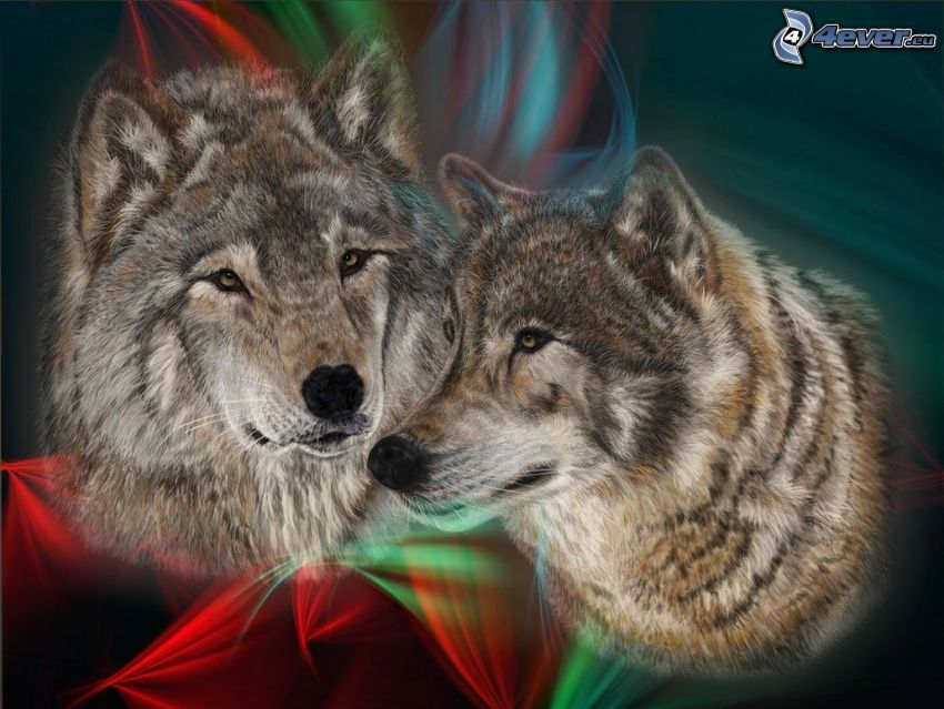 vlk a vlčica, kreslené vlky