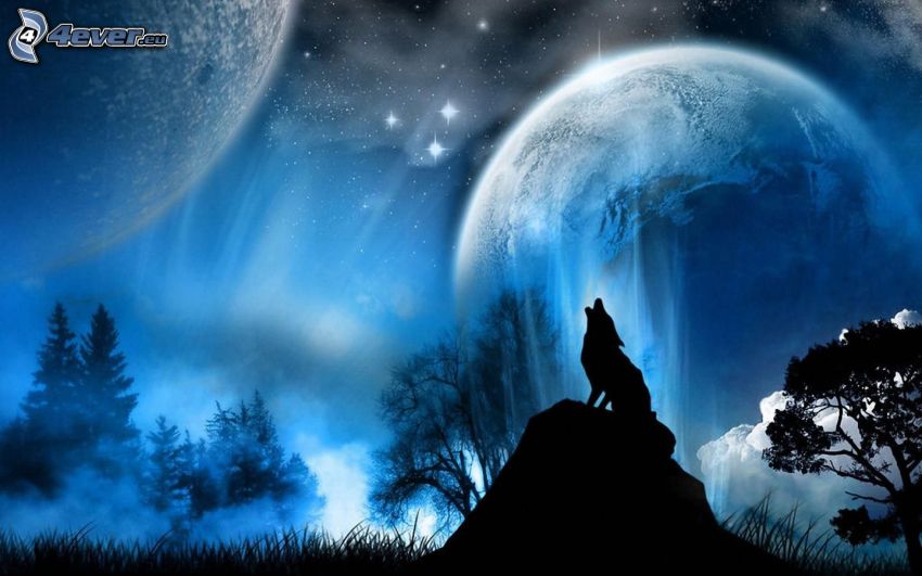 vlk zavýja, silueta vlka, mesiac