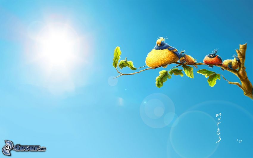 vtáky, konár, slnko, kreslený strom