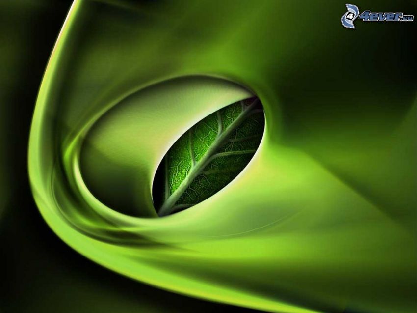 zelený list, zelené pozadie